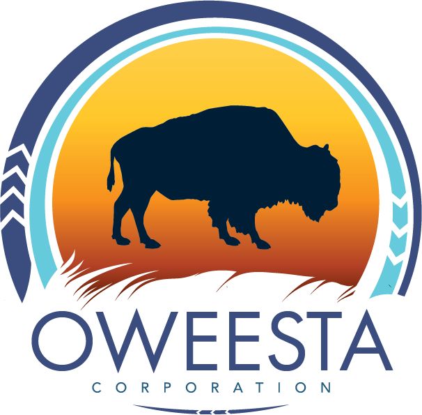 Oweesta Portal