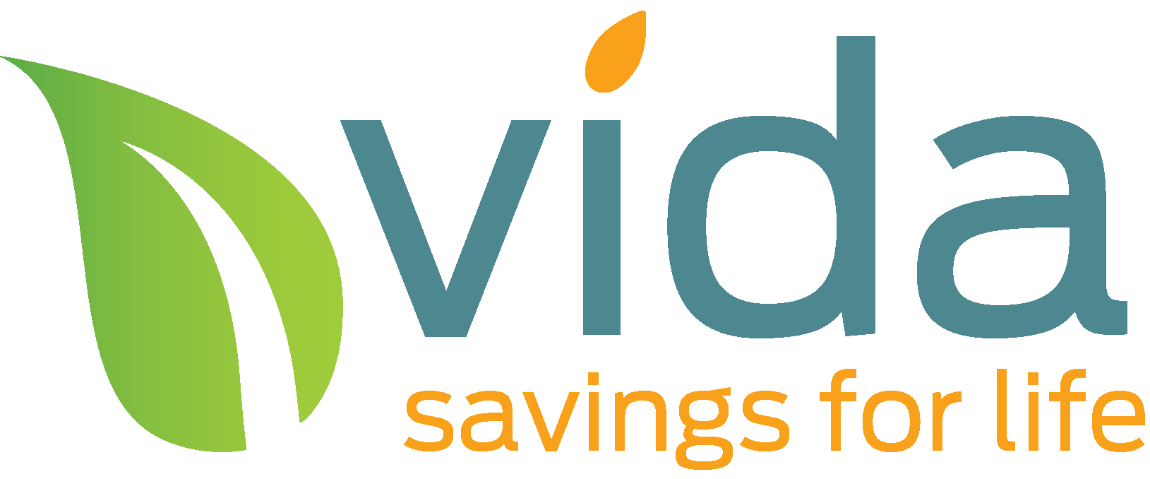 eSaver VIDA
